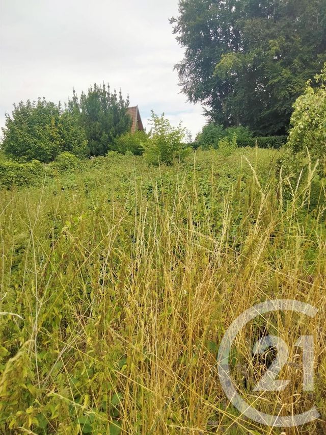terrain à vendre - 607.0 m2 - FLESSELLES - 80 - PICARDIE - Century 21 Les Remparts