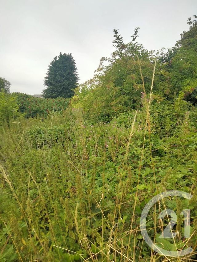 terrain à vendre - 607.0 m2 - FLESSELLES - 80 - PICARDIE - Century 21 Les Remparts