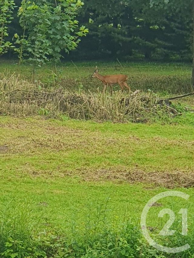 terrain à vendre - 15109.0 m2 - PERONNE - 80 - PICARDIE - Century 21 Les Remparts