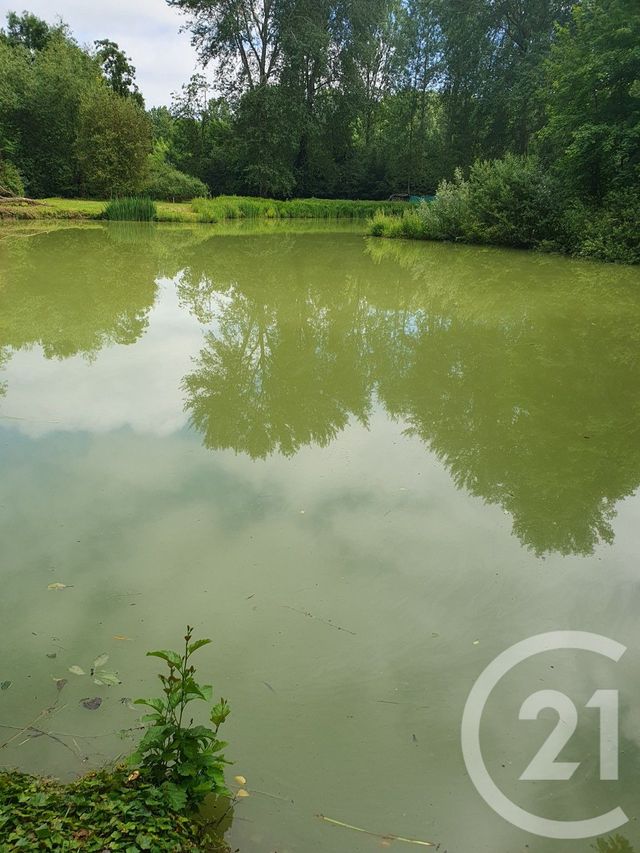 terrain à vendre - 15109.0 m2 - PERONNE - 80 - PICARDIE - Century 21 Les Remparts