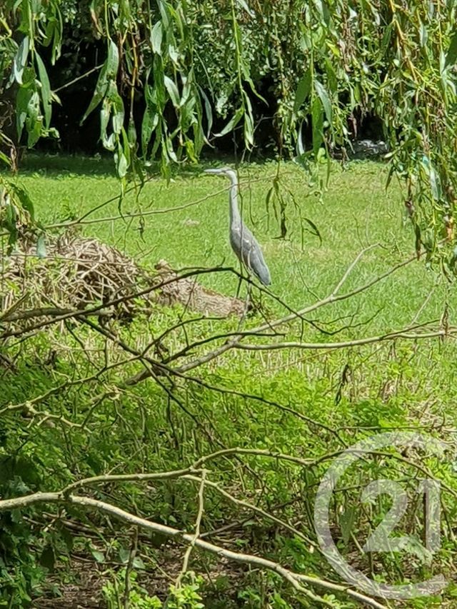 terrain à vendre - 15109.0 m2 - PERONNE - 80 - PICARDIE - Century 21 Les Remparts