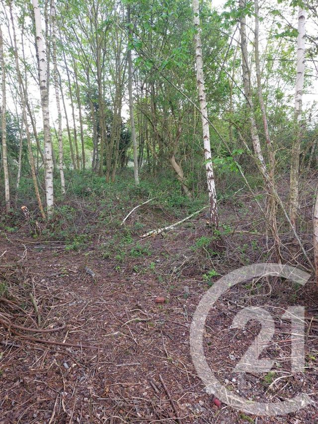 maison à vendre - 3 pièces - 96.0 m2 - ERCHEU - 80 - PICARDIE - Century 21 Les Remparts