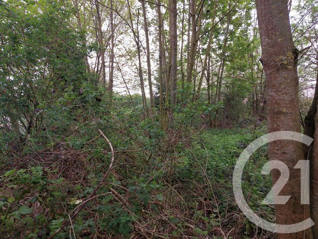 maison à vendre - 3 pièces - 96.0 m2 - ERCHEU - 80 - PICARDIE - Century 21 Les Remparts
