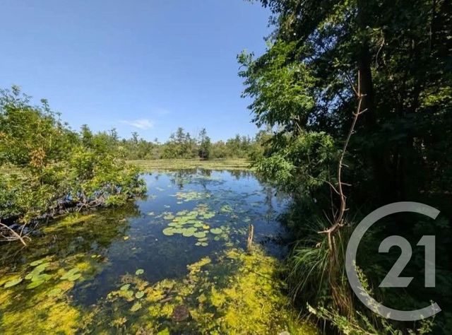 terrain à vendre - 6831.0 m2 - PERONNE - 80 - PICARDIE - Century 21 Les Remparts