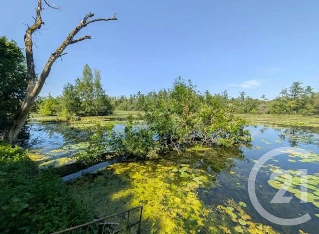 terrain à vendre - 6831.0 m2 - PERONNE - 80 - PICARDIE - Century 21 Les Remparts