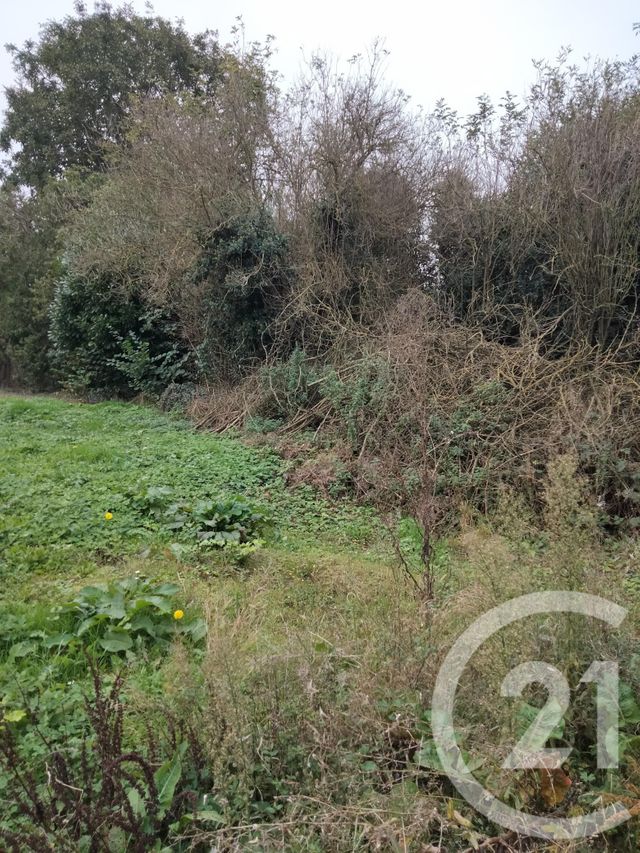 Terrain à vendre CAMPS EN AMIENOIS