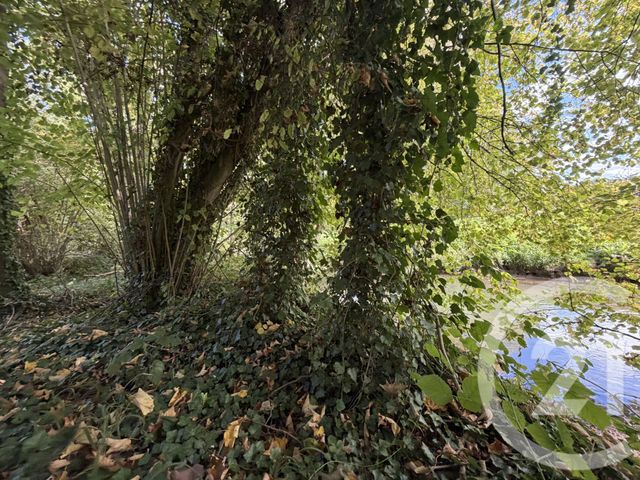 terrain à vendre - 10000.0 m2 - PERONNE - 80 - PICARDIE - Century 21 Les Remparts