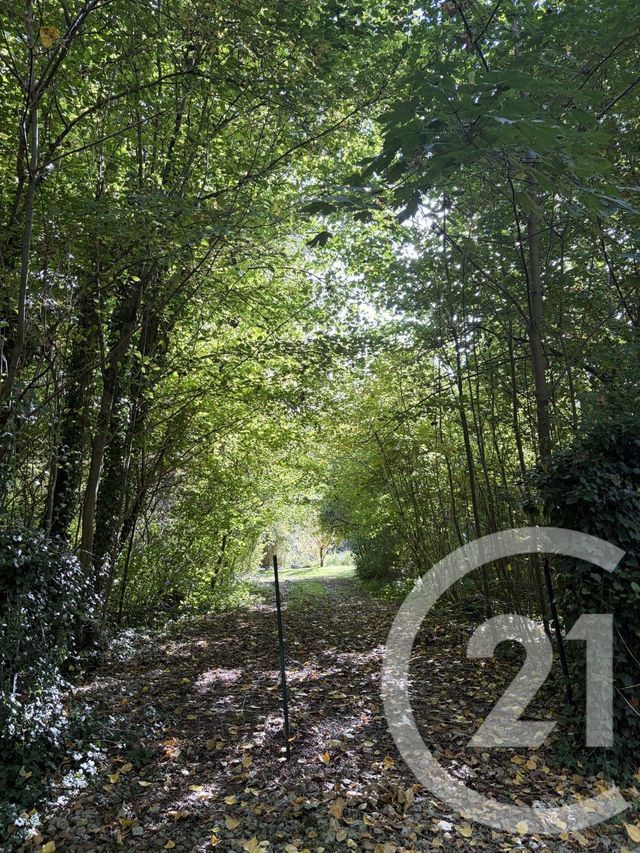 terrain à vendre - 10000.0 m2 - PERONNE - 80 - PICARDIE - Century 21 Les Remparts