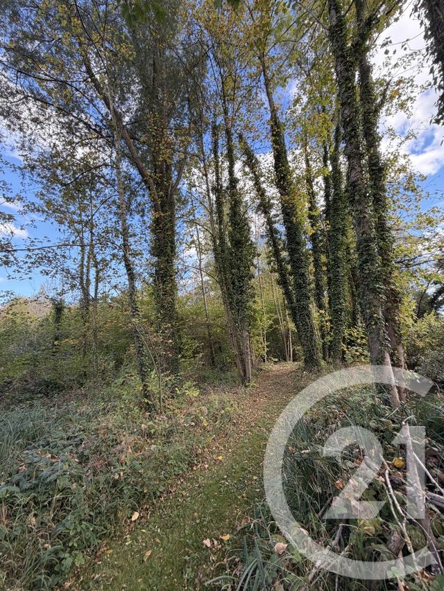 terrain à vendre - 10000.0 m2 - PERONNE - 80 - PICARDIE - Century 21 Les Remparts