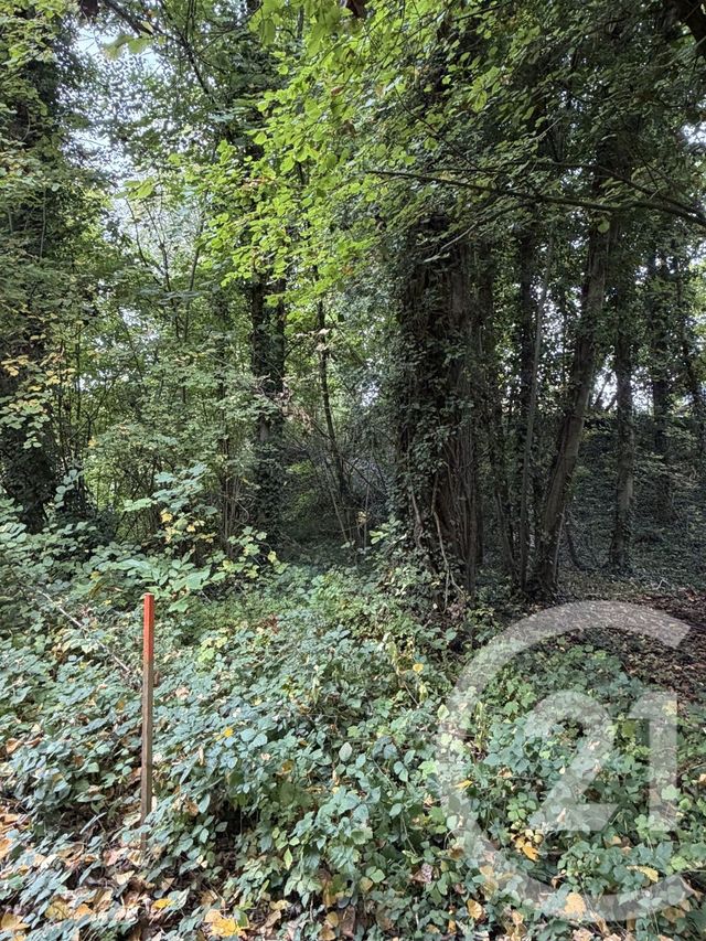 terrain à vendre - 10000.0 m2 - PERONNE - 80 - PICARDIE - Century 21 Les Remparts