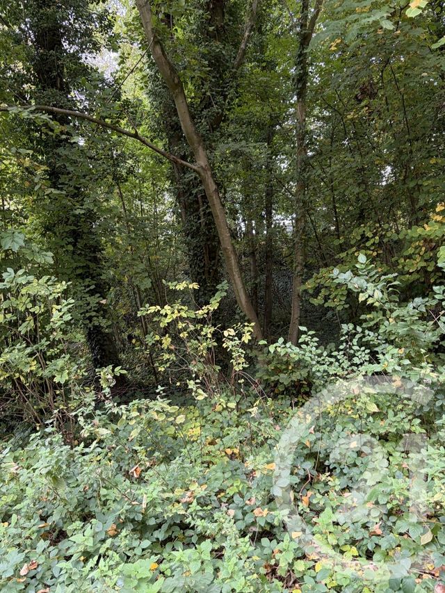 terrain à vendre - 10000.0 m2 - PERONNE - 80 - PICARDIE - Century 21 Les Remparts