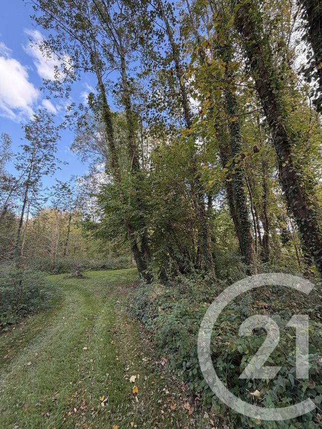 terrain à vendre - 10000.0 m2 - PERONNE - 80 - PICARDIE - Century 21 Les Remparts