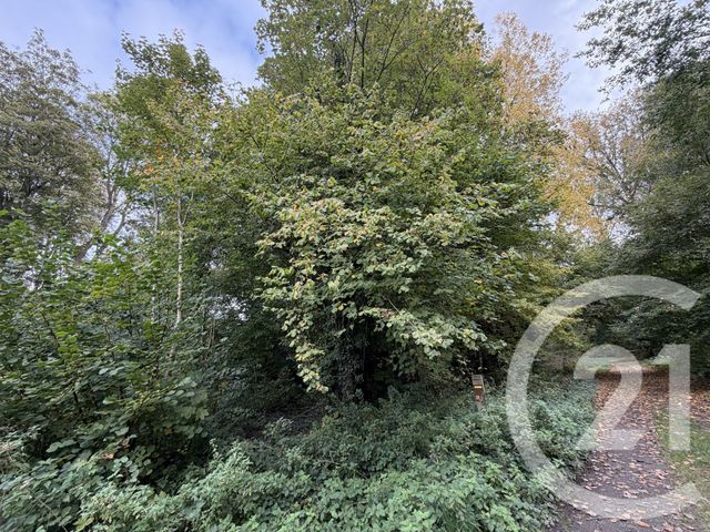 terrain à vendre - 10000.0 m2 - PERONNE - 80 - PICARDIE - Century 21 Les Remparts