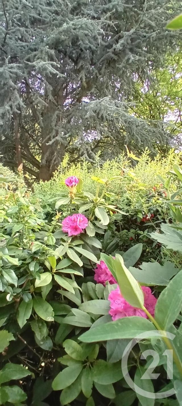 maison à vendre - 10 pièces - 246.0 m2 - ESTREES DENIECOURT - 80 - PICARDIE - Century 21 Les Remparts