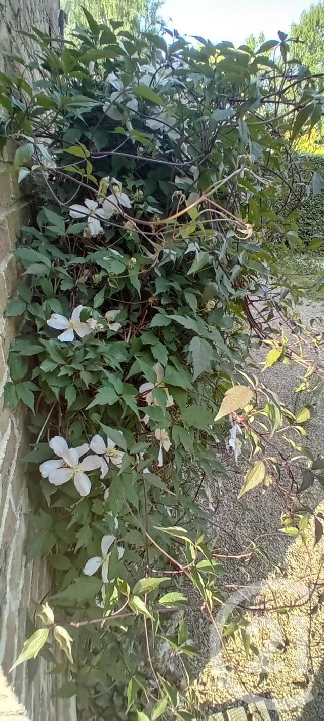 maison à vendre - 10 pièces - 246.0 m2 - ESTREES DENIECOURT - 80 - PICARDIE - Century 21 Les Remparts