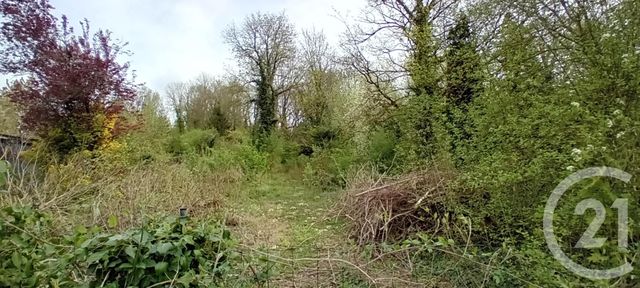 terrain à vendre - 4347.0 m2 - PERONNE - 80 - PICARDIE - Century 21 Les Remparts