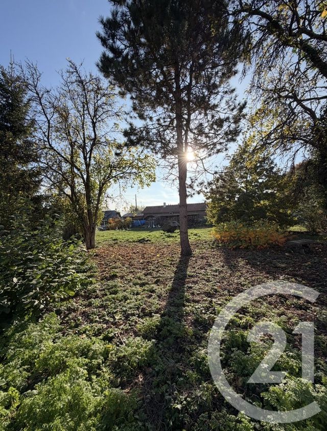 terrain à vendre - 2145.0 m2 - PERONNE - 80 - PICARDIE - Century 21 Les Remparts