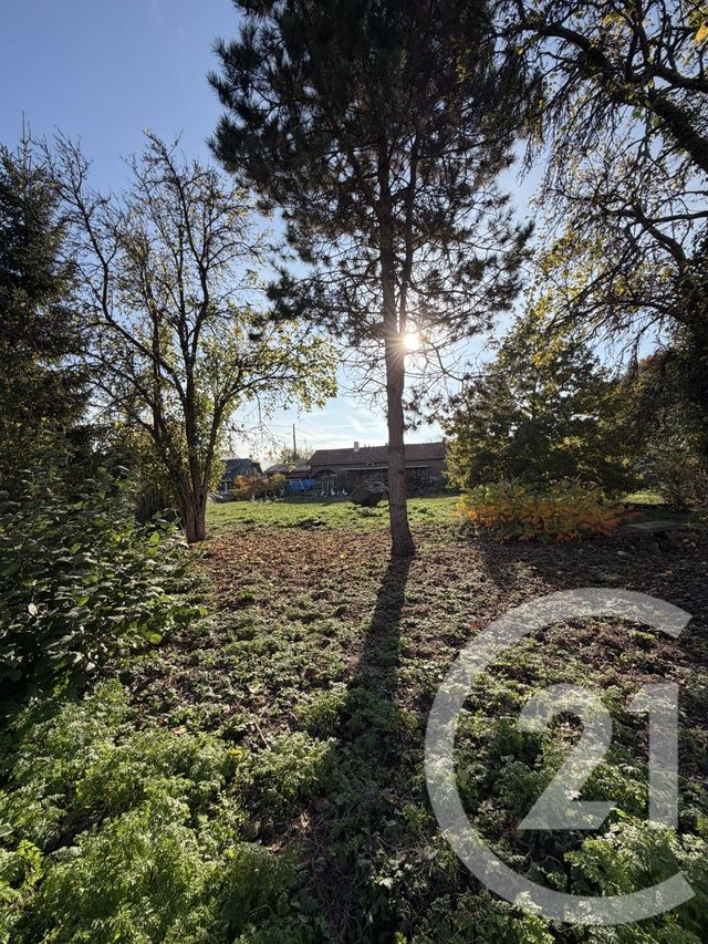 terrain à vendre - 2145.0 m2 - PERONNE - 80 - PICARDIE - Century 21 Les Remparts