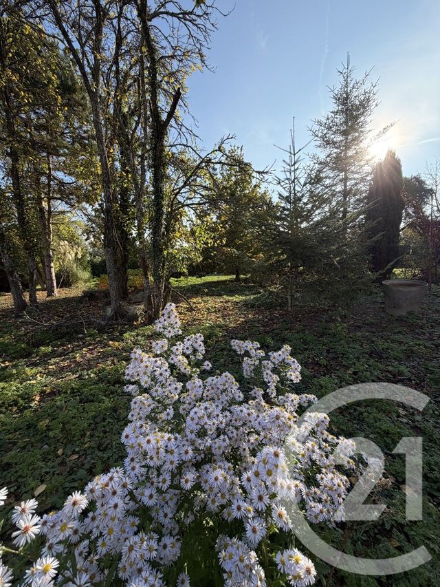 terrain à vendre - 2145.0 m2 - PERONNE - 80 - PICARDIE - Century 21 Les Remparts